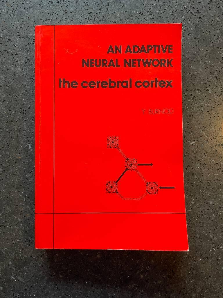 An adaptive neural network - the cerebral cortex