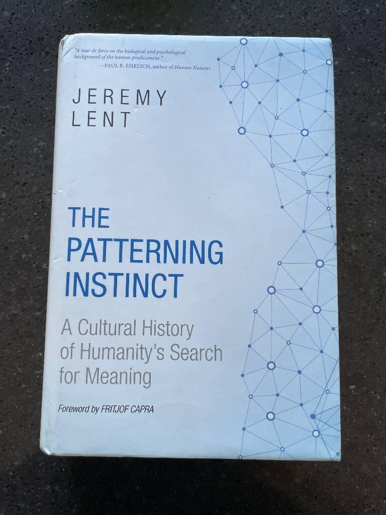 The patterning instinct - a cultural history of humanity's search for meaning