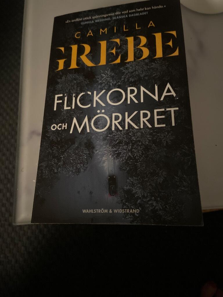 Flickorna och m&ouml;rkret