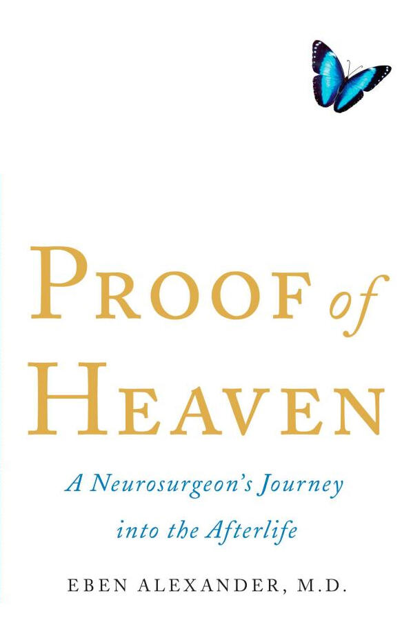 Proof of heaven : a neurosurgeon's journey into the afterlife