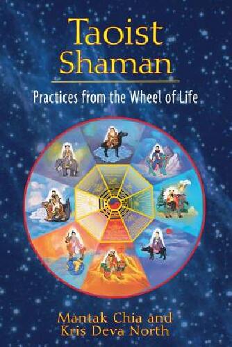 Taoist Shaman - Practices From The Wheel Of Life