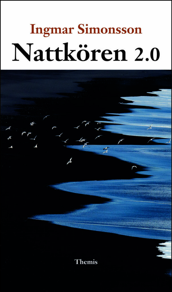 Nattk&ouml;ren 2.0
