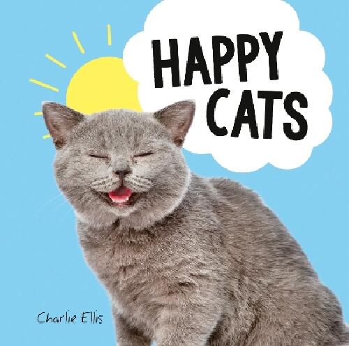 Happy cats - photos of felines feeling fab