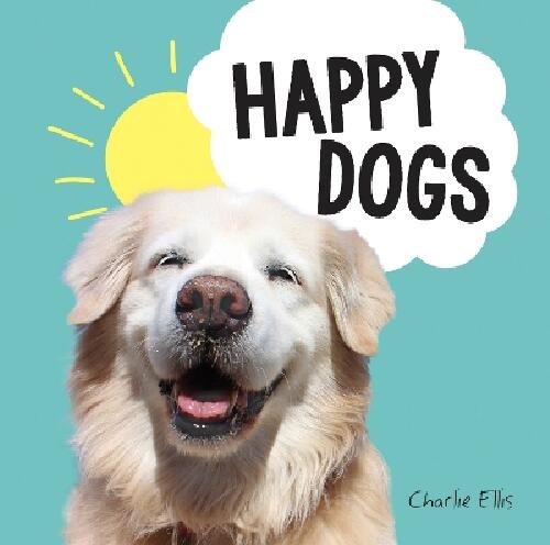 Happy dogs