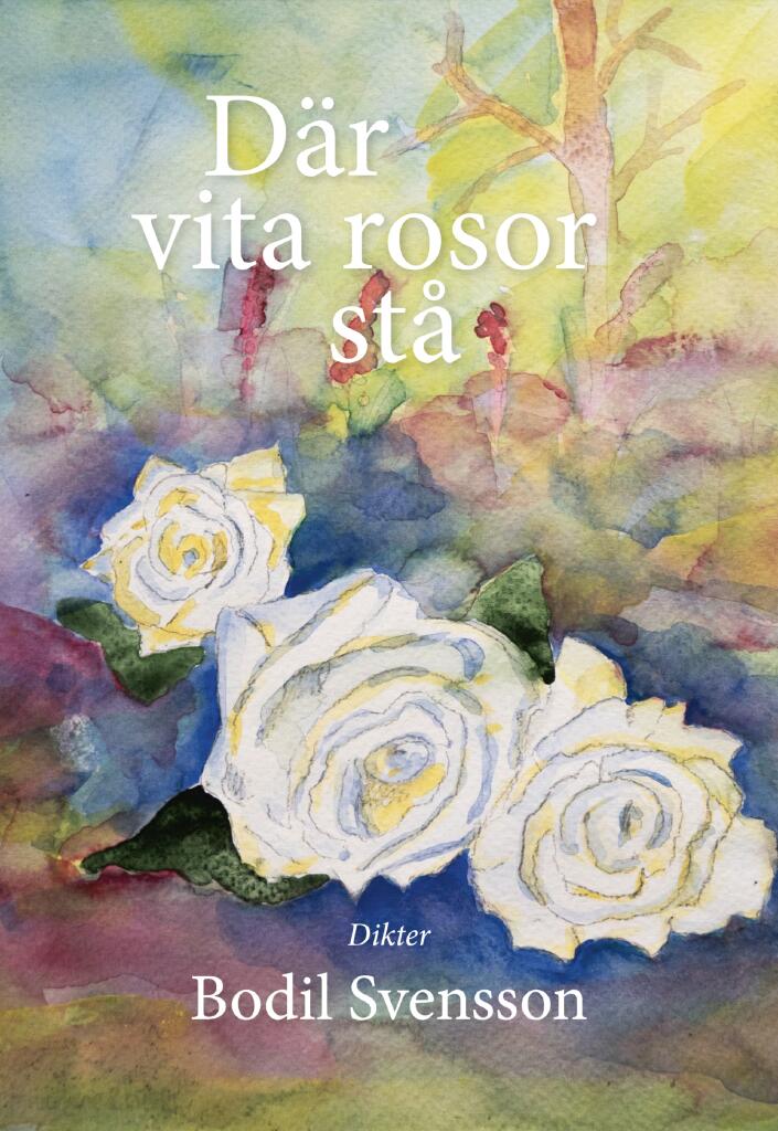 D&auml;r vita rosor st&aring;