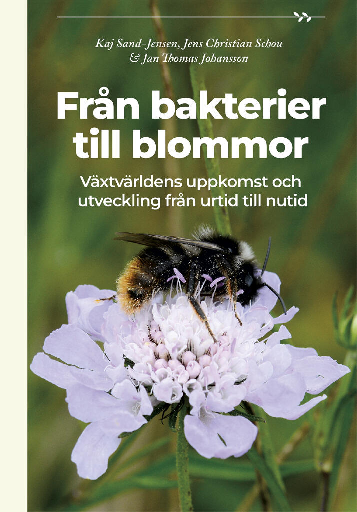 Fr&aring;n bakterier till blommor - v&auml;xtv&auml;rldens uppkomst och utveckling fr&aring;n urtid till nutid