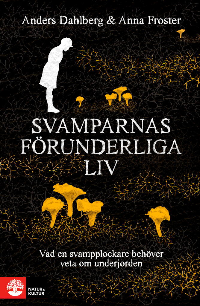 Svamparnas f&ouml;runderliga liv - vad en svampplockare beh&ouml;ver veta om underjorden