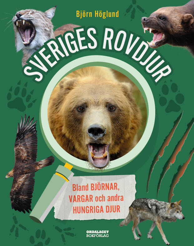 Sveriges rovdjur - Bland bj&ouml;rnar, vargar och andra hungriga djur