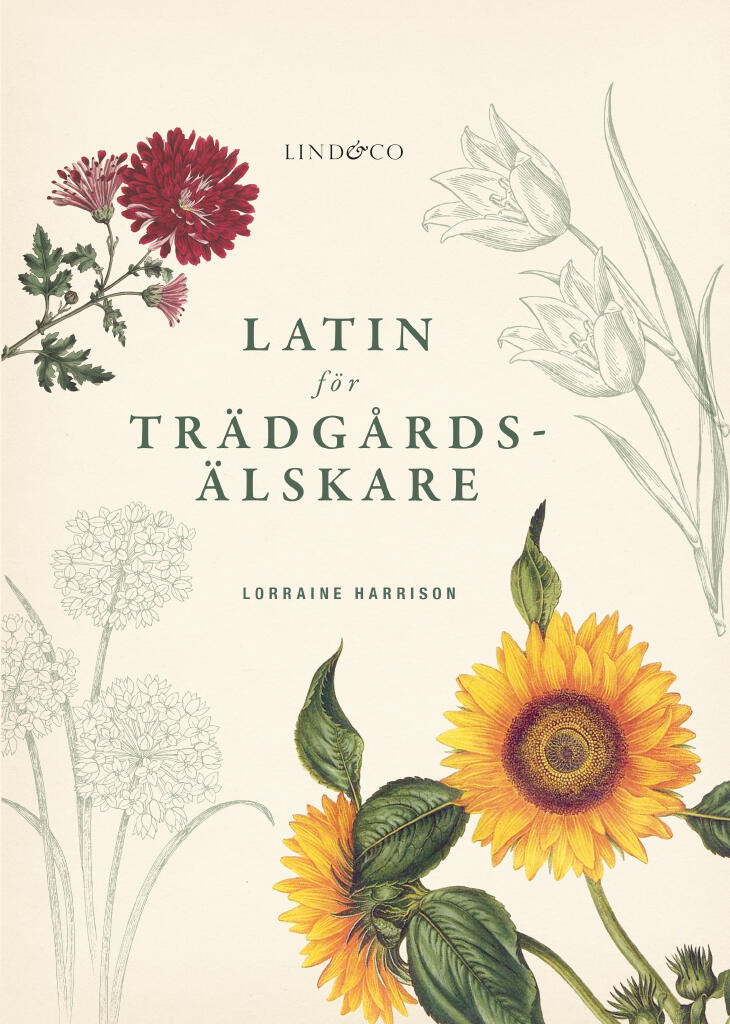 Latin f&ouml;r tr&auml;dg&aring;rds&auml;lskare