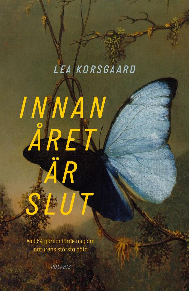 Innan &aring;ret &auml;r slut - vad 64 fj&auml;rilar l&auml;rde mig om naturens st&ouml;rsta g&aring;ta