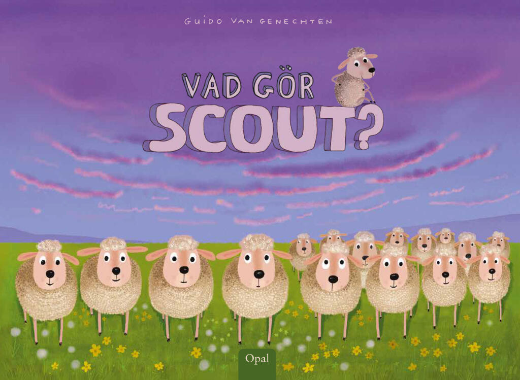 Vad g&ouml;r Scout?