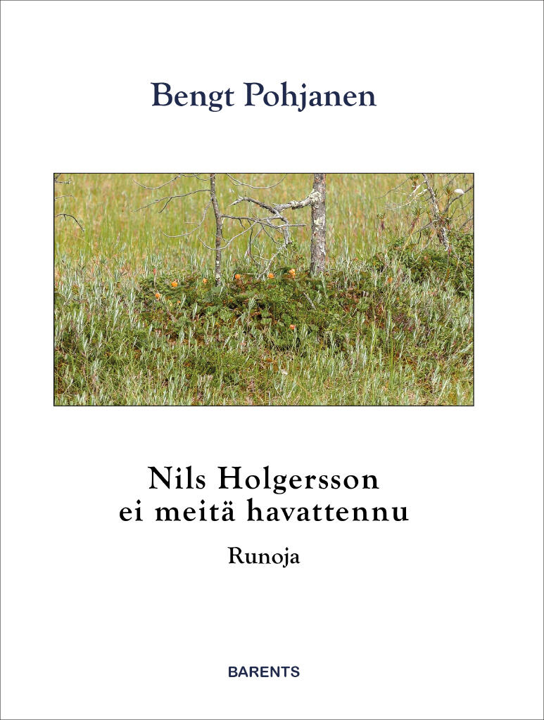 Nils Holgersson ei meit&auml; havattennu
