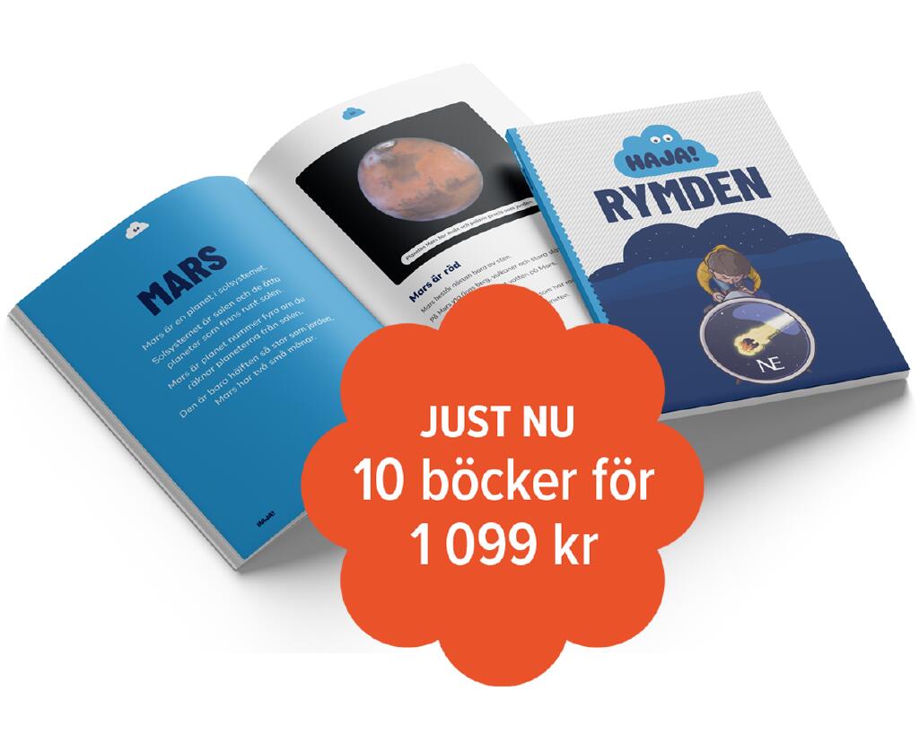 Haja Faktab&ouml;cker 10-pack