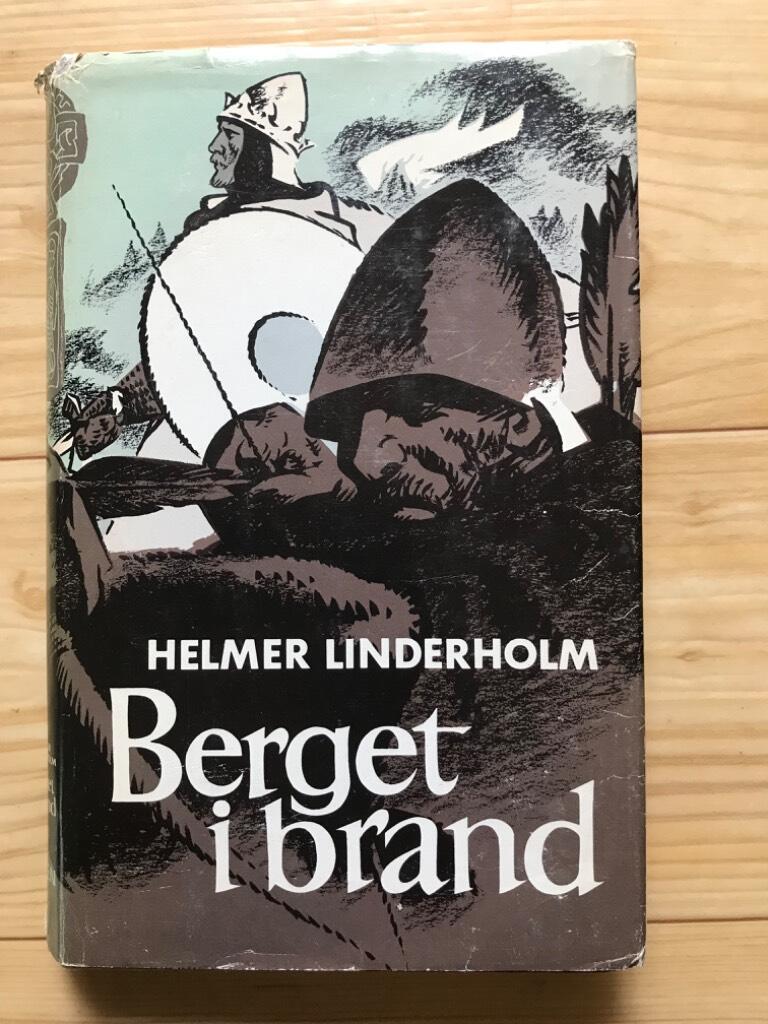 Berget i brand : roman