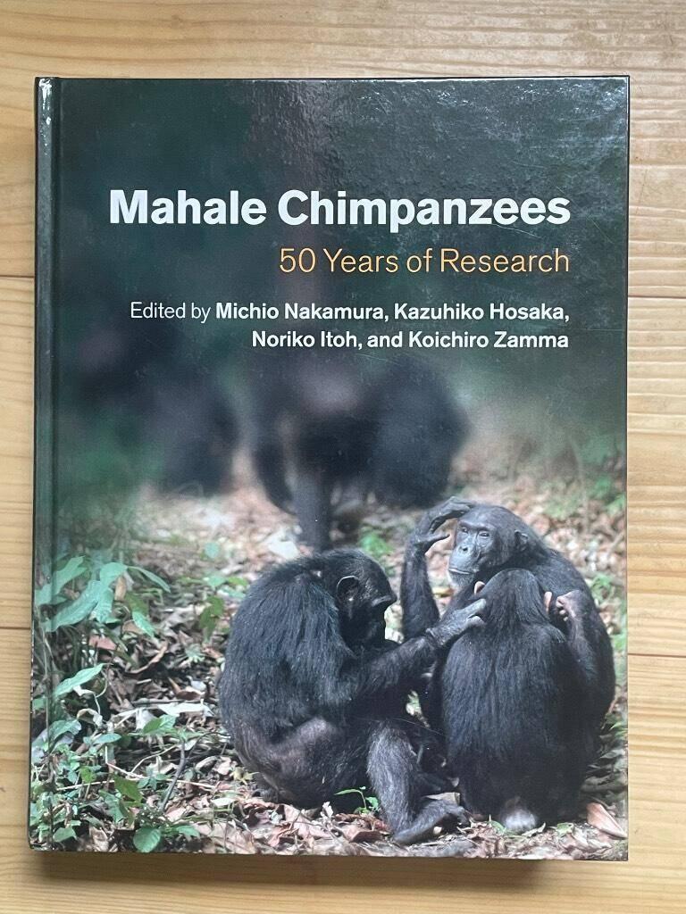 Mahale chimpanzees