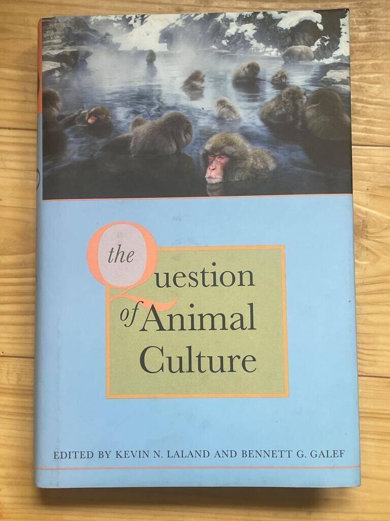 The question of animal culture