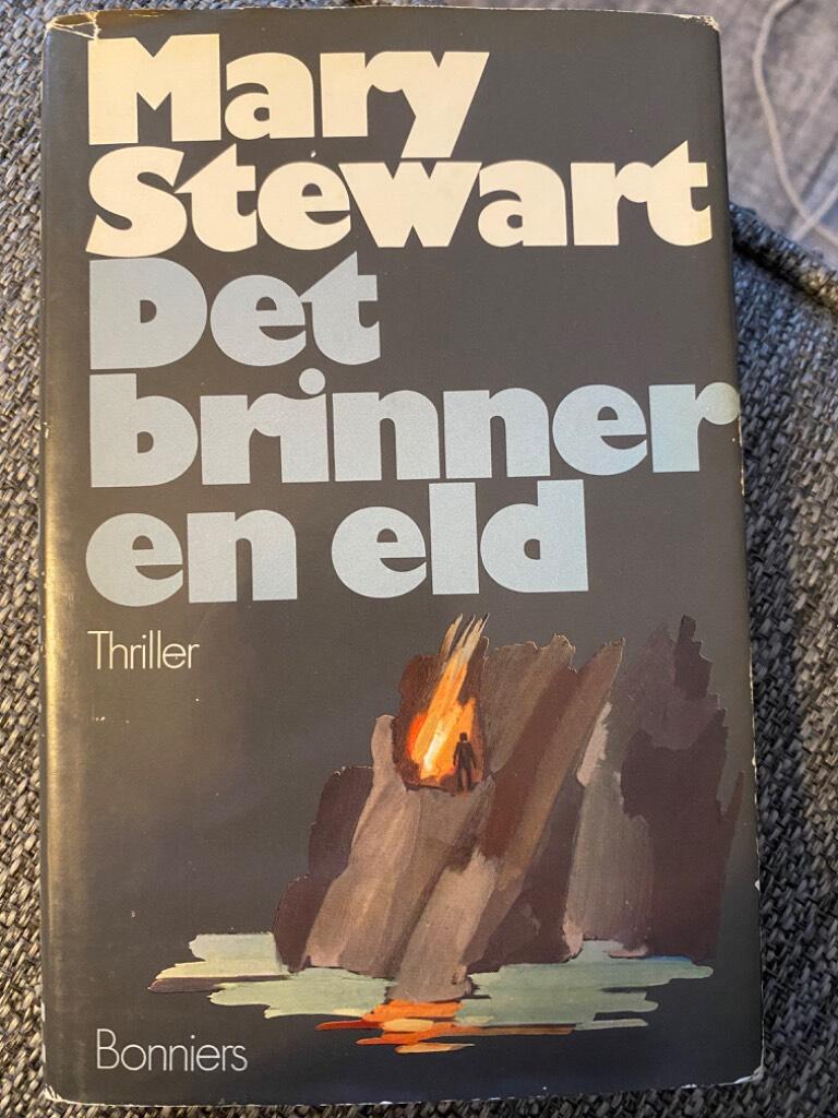 Det brinner en eld - [thriller]