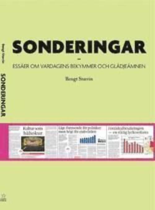 Sonderingar : ess&auml;er om vardagens bekymmer och gl&auml;dje&auml;mnen