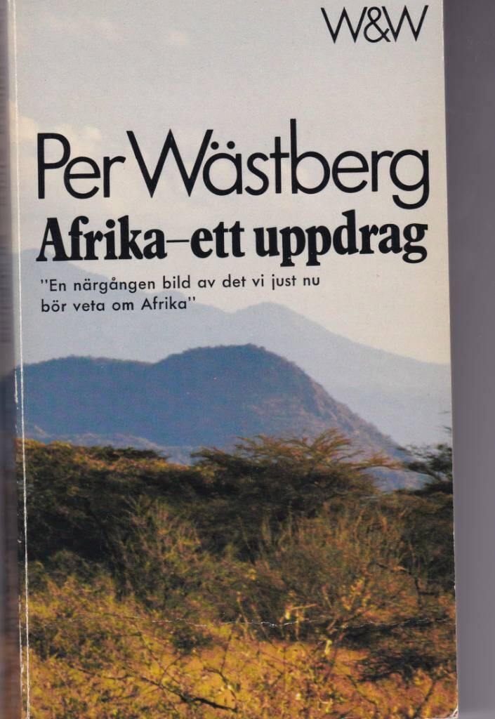 Afrika - ett uppdrag - reflexioner, beskrivningar, gissningar