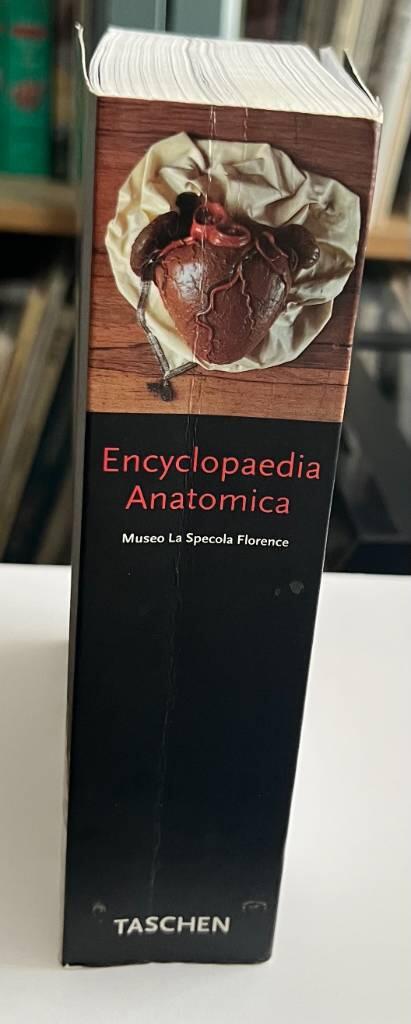 Encyclopaedia anatomica - a complete collection of anatomical waxes