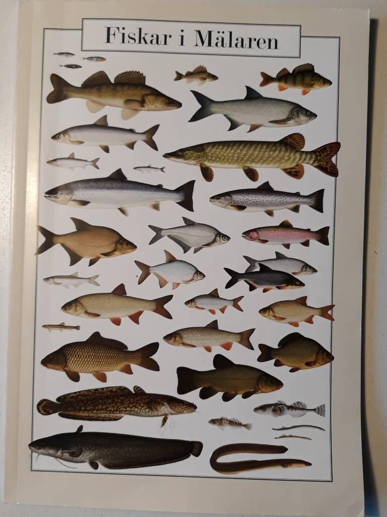 Fiskar i M&auml;laren