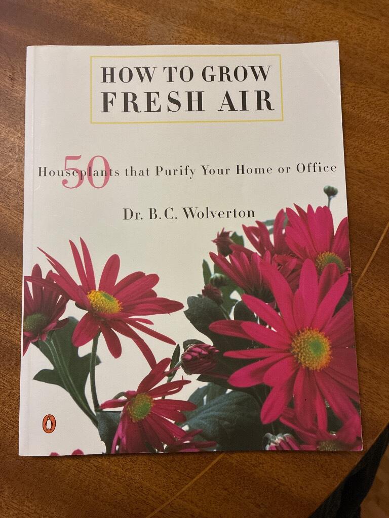 How to grow fresh air