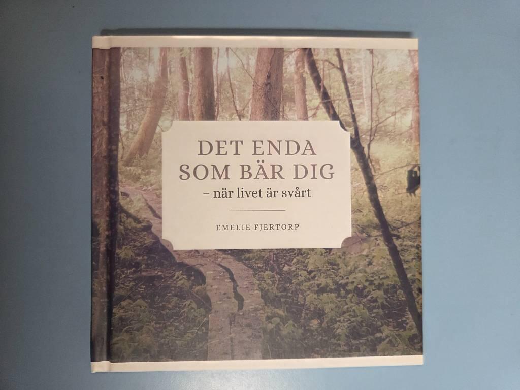 Det enda som b&auml;r dig : n&auml;r livet &auml;r sv&aring;rt