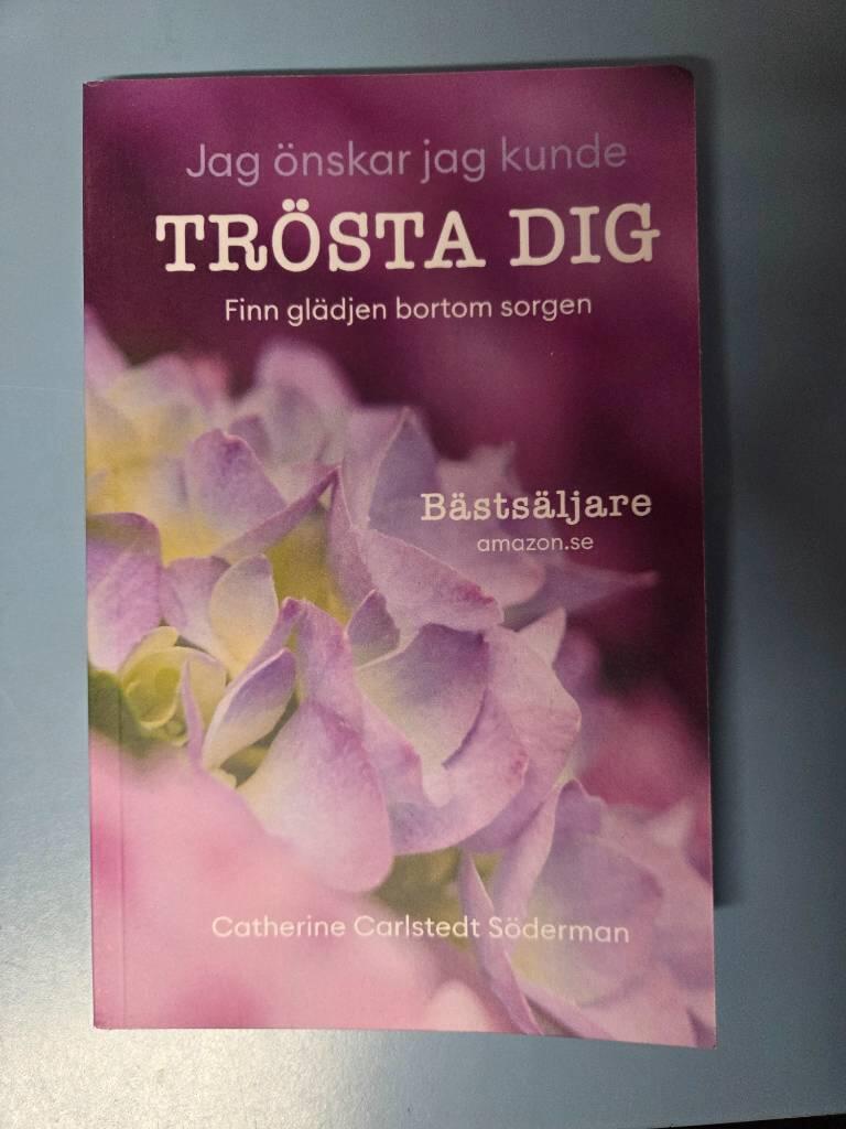 Jag &ouml;nskar jag kunde tr&ouml;sta dig