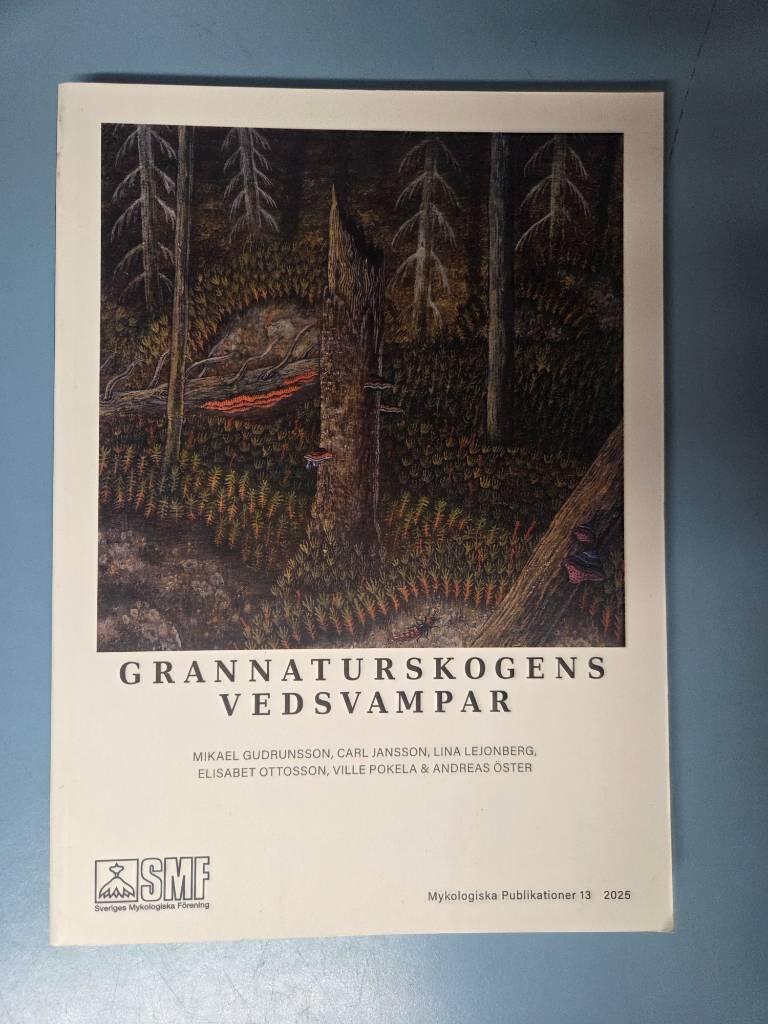 Grannaturskogens vedsvampar