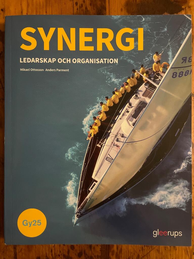 Synergi - ledarskap och organisation
