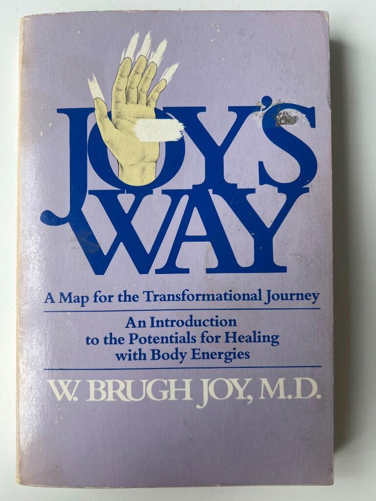 Joy's way : a map for the transformational journey : an introduction to the potentials for healing with body energies