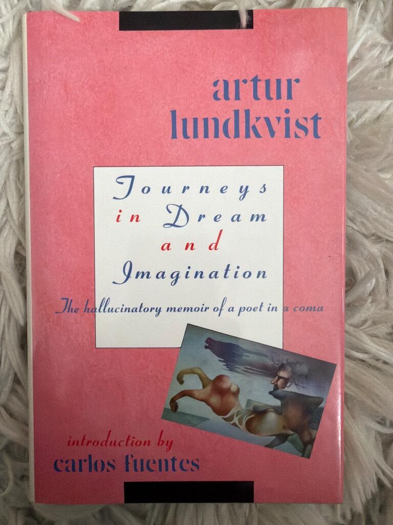 Journeys in dream and imagination - [the hallucinatory memoir of a poet in a coma]