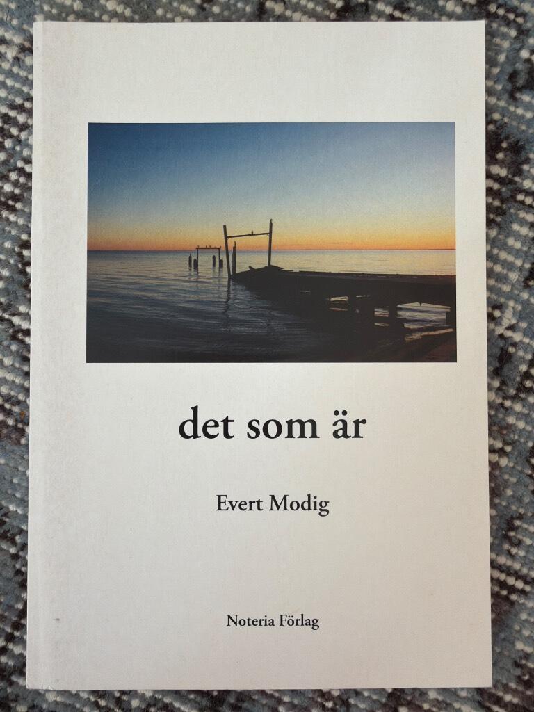 Det som &auml;r