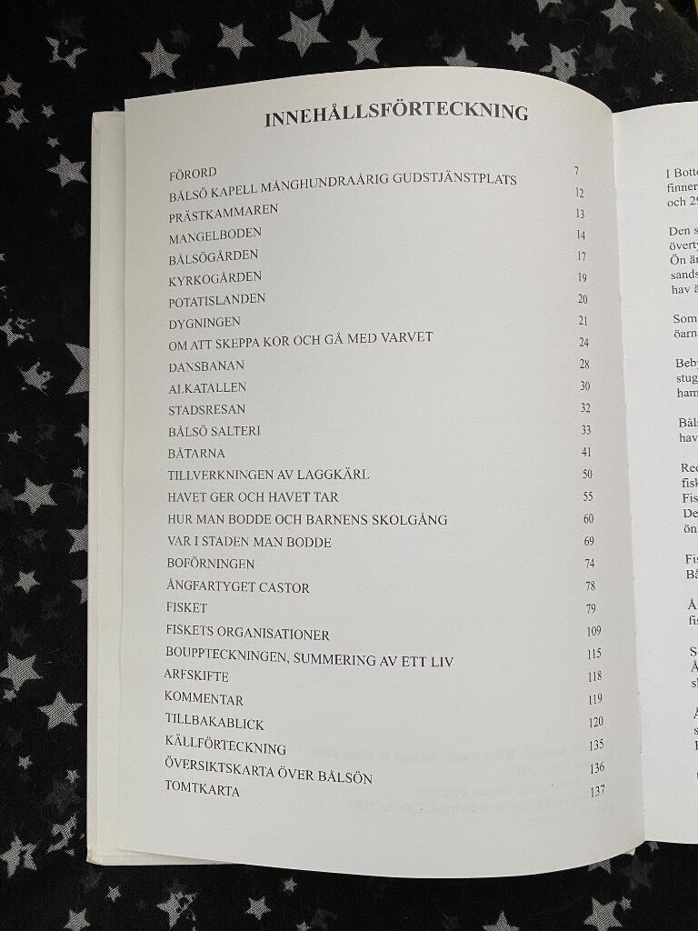 B&aring;ls&ouml;n : ett fiskel&auml;ge : [en ber&auml;ttelse fr&aring;n en g&aring;ngen tid