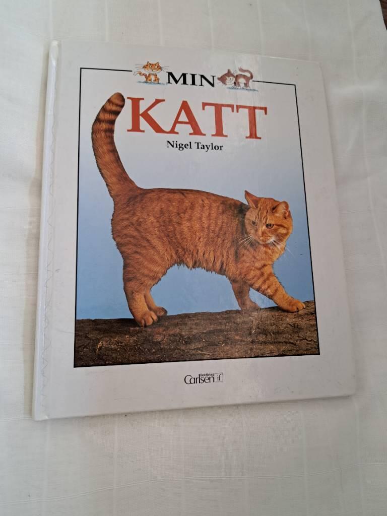 Min katt