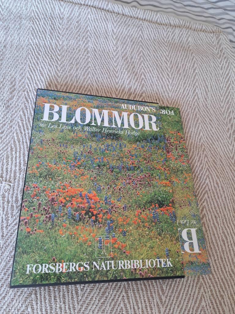 Blommor