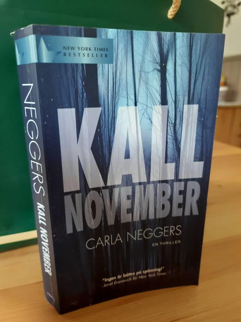 Kall november : [en thriller]