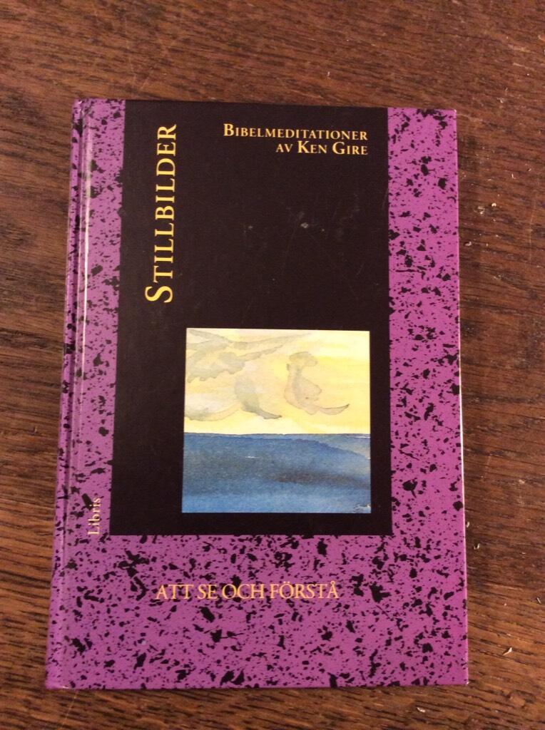 Stillbilder : att se och f&ouml;rst&aring; : bibelmeditationer