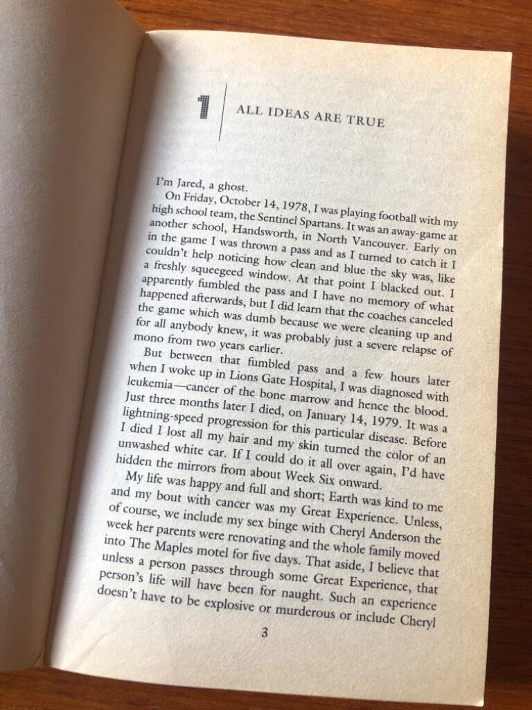 Girlfriend in a coma