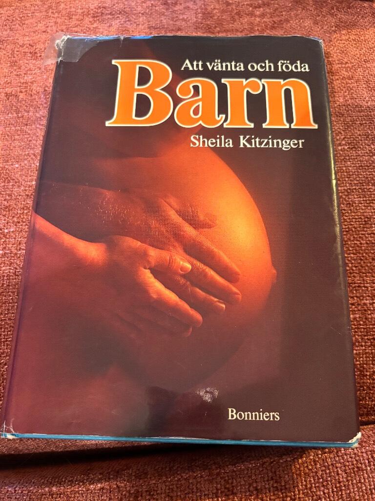 Att v&auml;nta och f&ouml;da barn