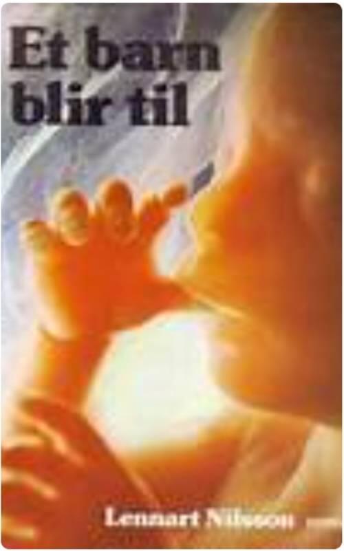 Ett barn blir till : en bildskildring av barnets tillblivelse f&ouml;re f&ouml;delsen och praktiska r&aring;d n&auml;r man v&auml;ntar barn