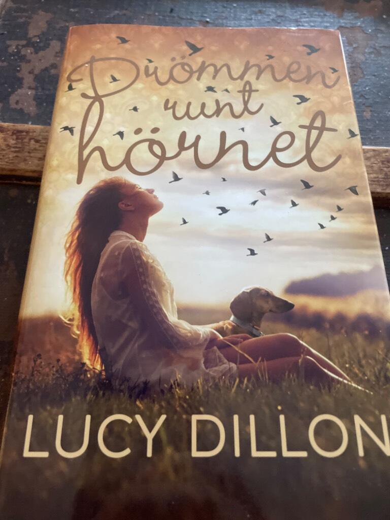 Dr&ouml;mmen runt h&ouml;rnet