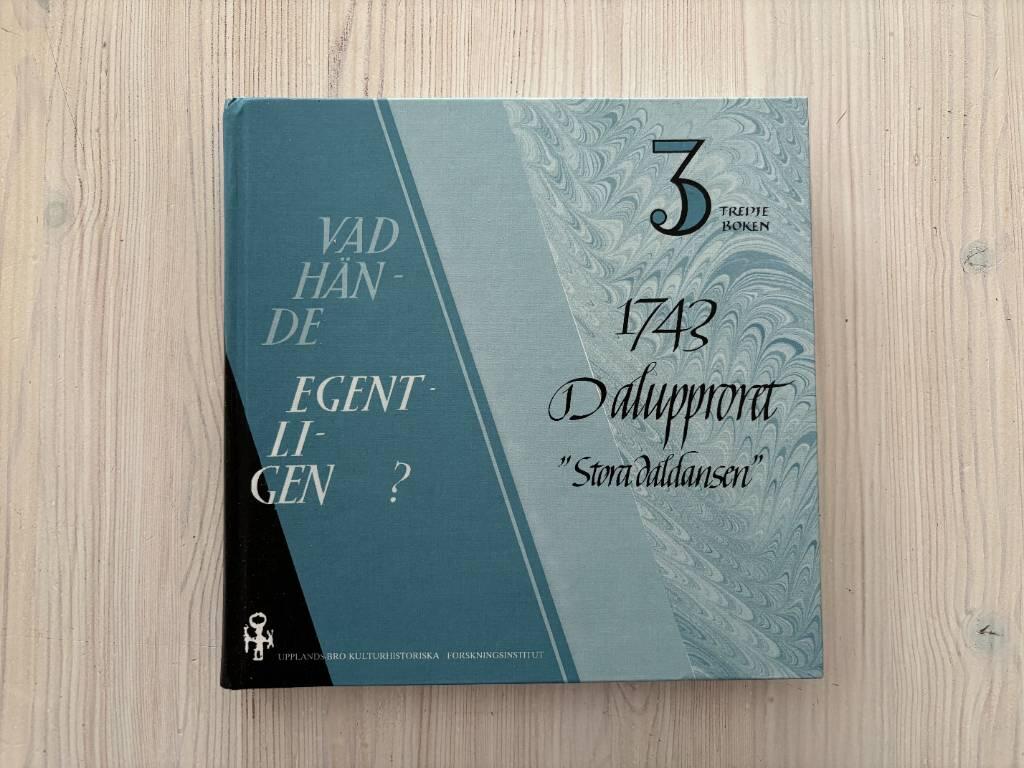 Vad h&auml;nde egentligen