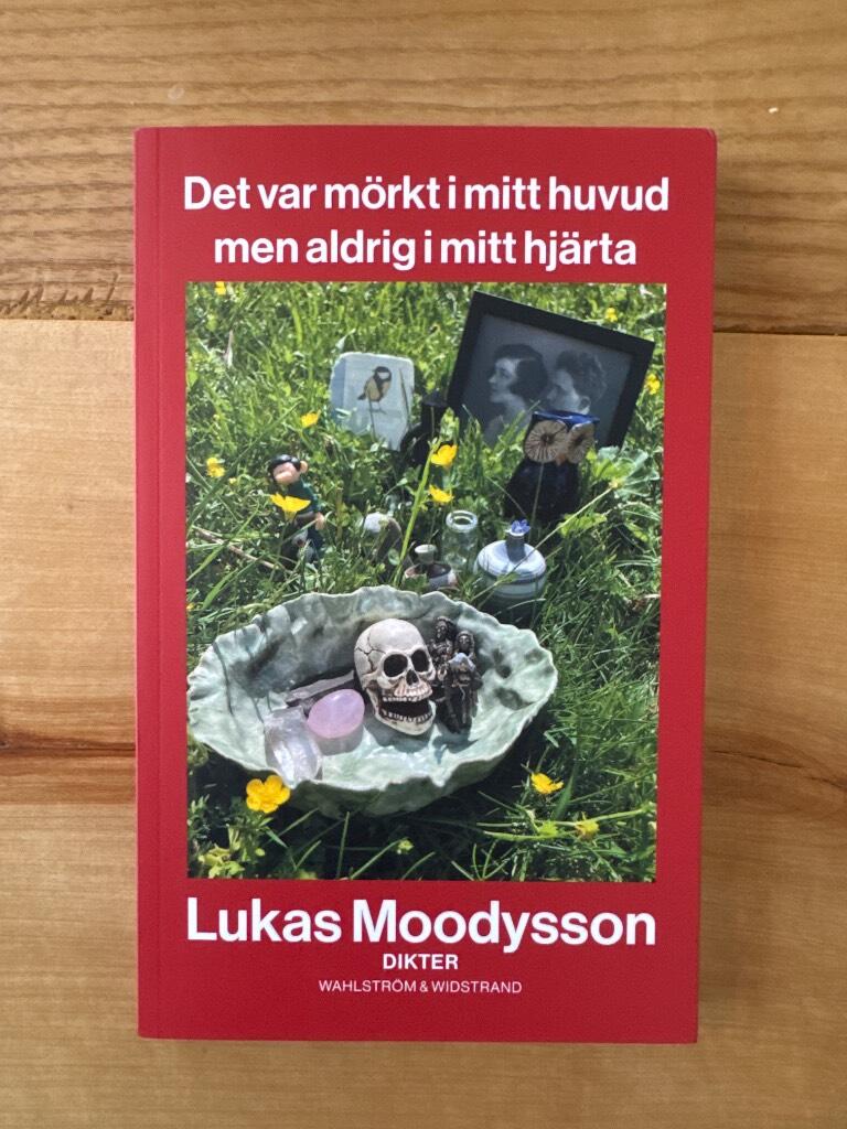 Det var mörkt i mitt huvud men aldrig i mitt hjärta