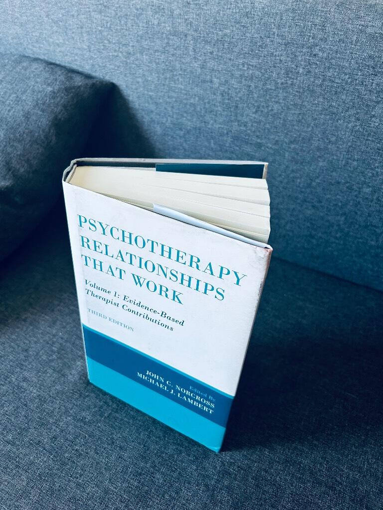 Psychotherapy relationships that work
