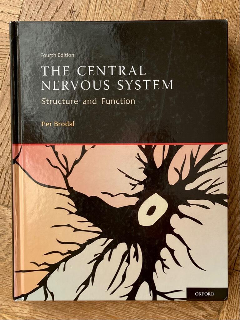 The central nervous system - structure and function