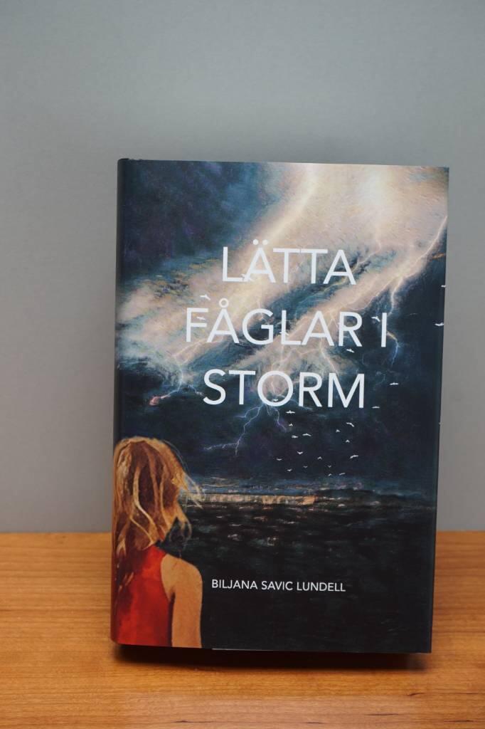 Lätta fåglar i storm - en roman som är ett inlagg i samhällsdebatten om vår tids största folksjukdom
