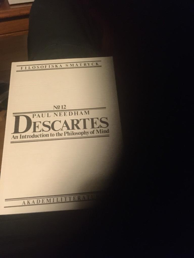 Descartes : an introduction to the philosophy of mind