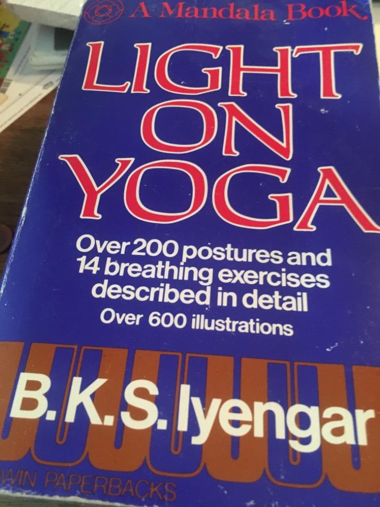 Light on yoga - yoga dipika