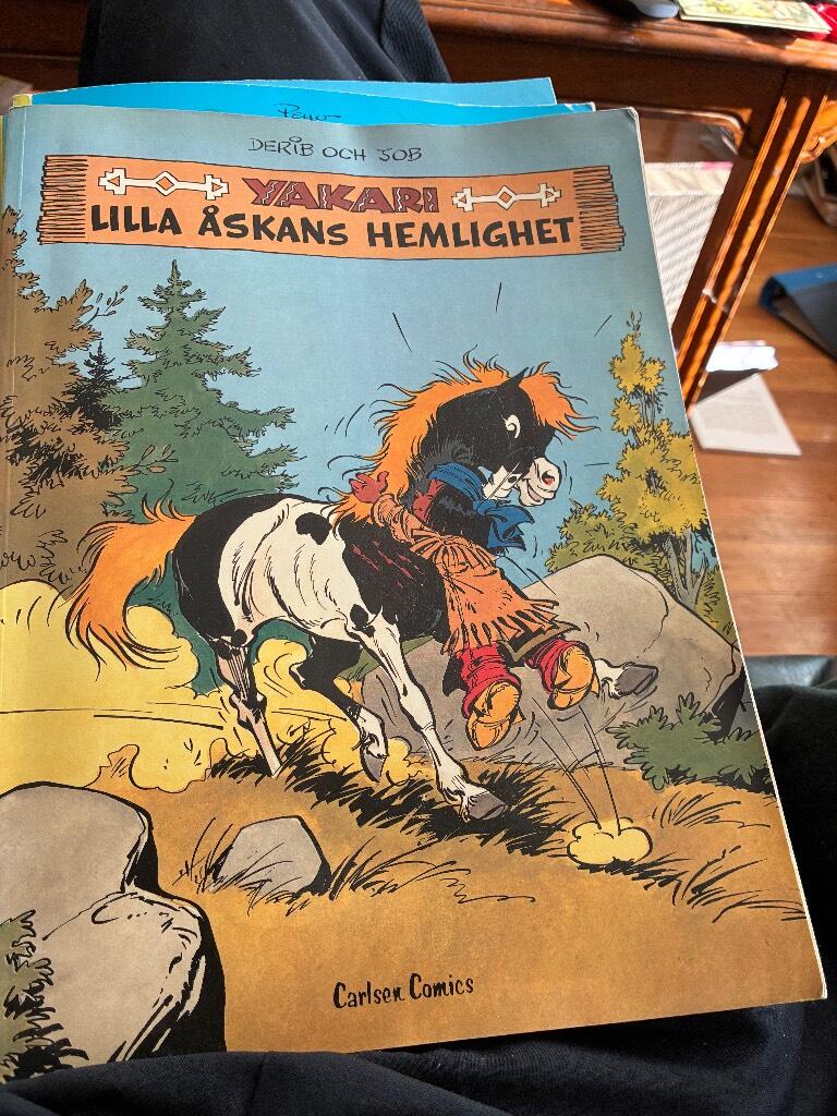 Lilla &aring;skans hemlighet